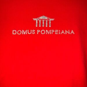 Domus Pompeiana Rhinestone Red T Shirt Medium Small Roman Pompeii Italy Italian